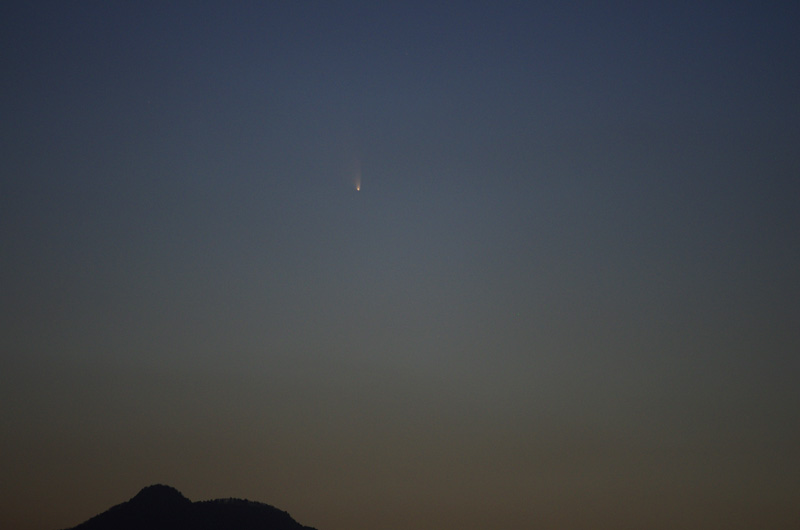パンスターズ彗星