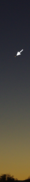 ̉ΐ